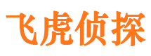 广南市侦探公司